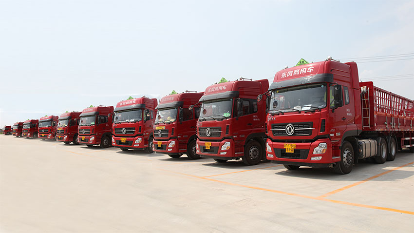 1625715110650511.jpg 1537954518278066.jpg