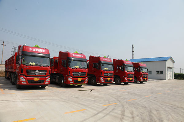 1625715221662086.jpg 1536658476825316.jpg